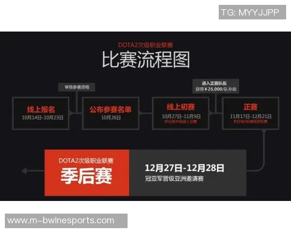 深度探讨杨军在DOTA2世界中的成长与挑战之路